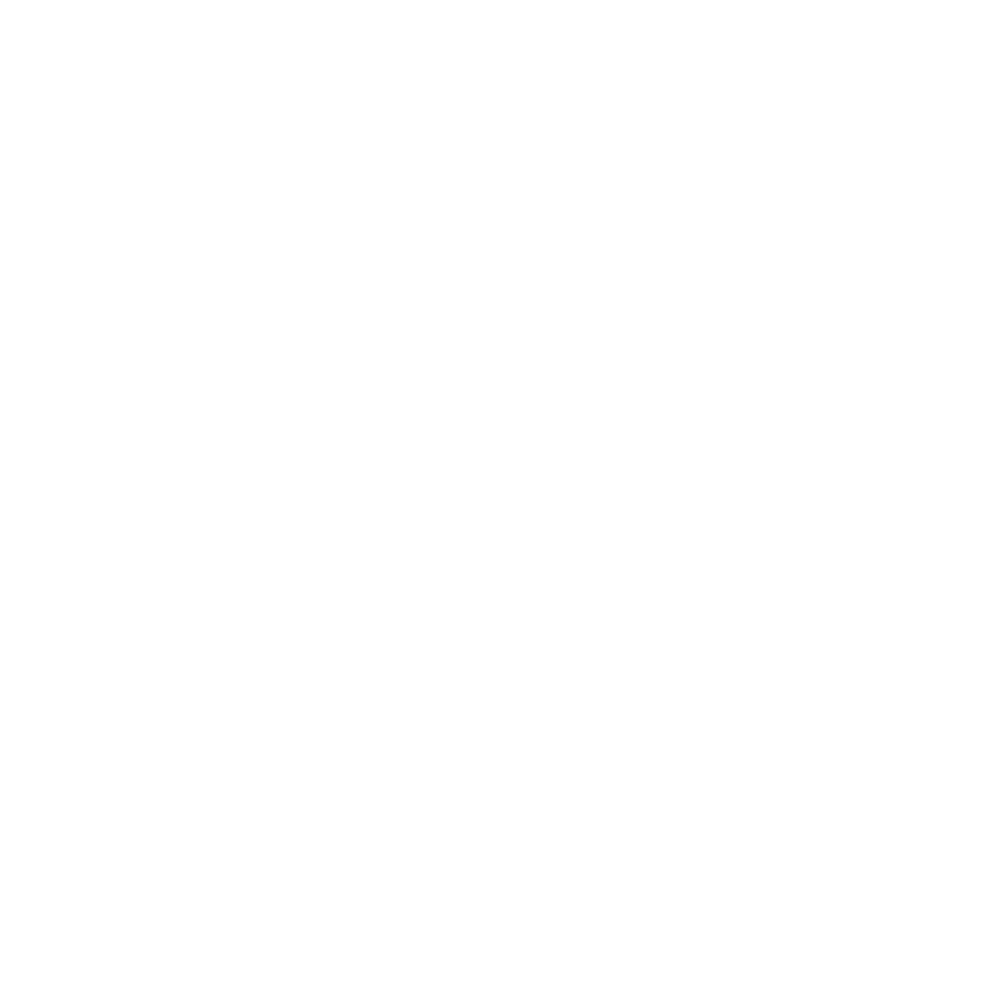 Repair Service Icon