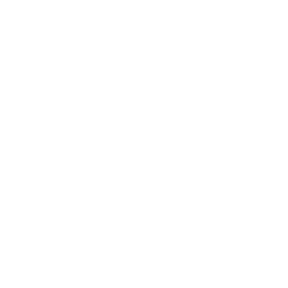 Wheel Alignment Icon